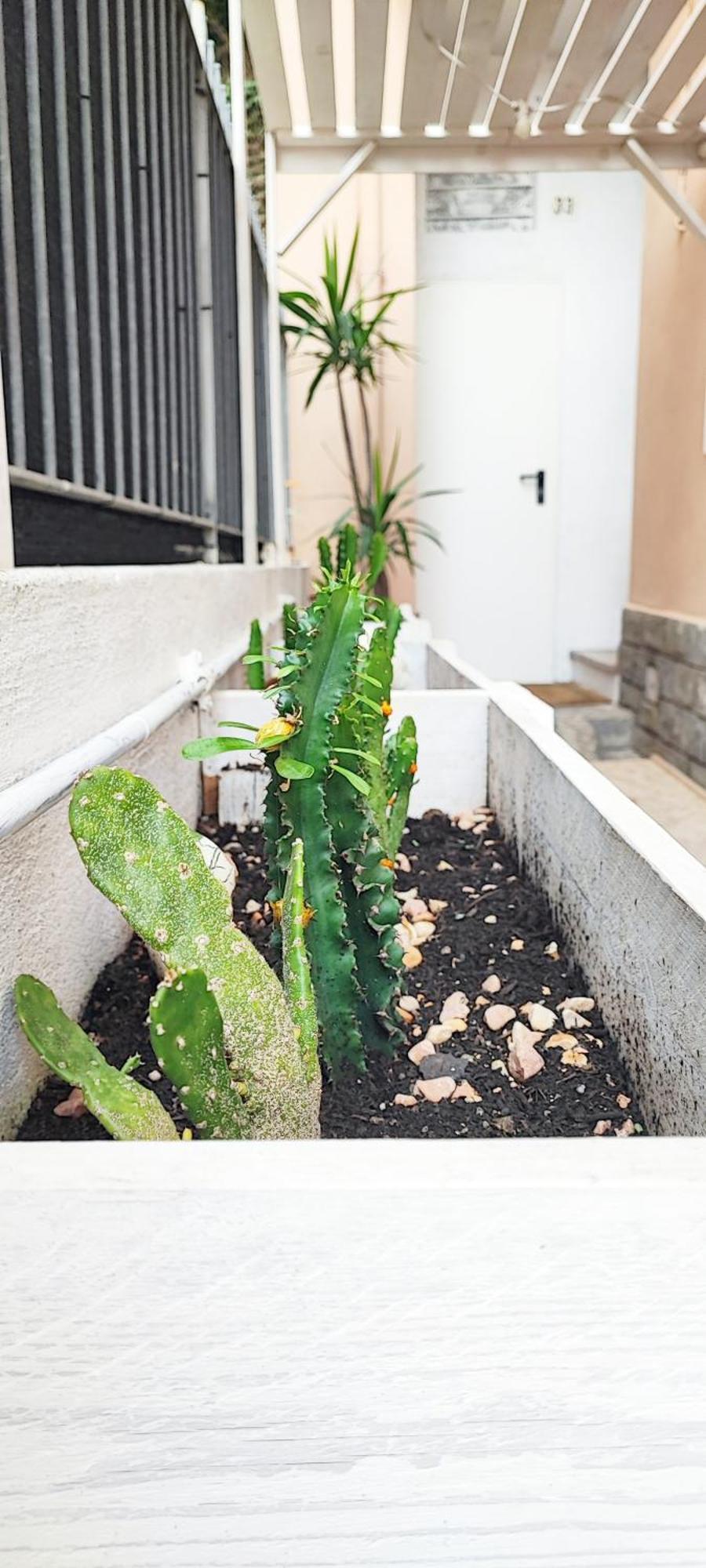 Residenza Bibliososta Apartment Ventimiglia Luaran gambar