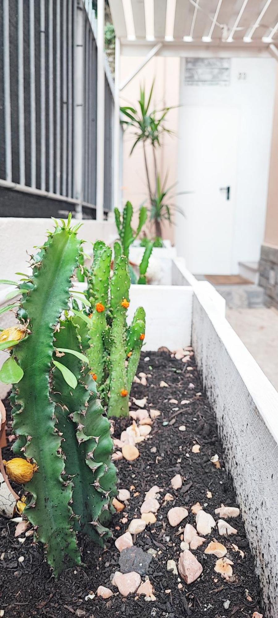 Residenza Bibliososta Apartment Ventimiglia Luaran gambar